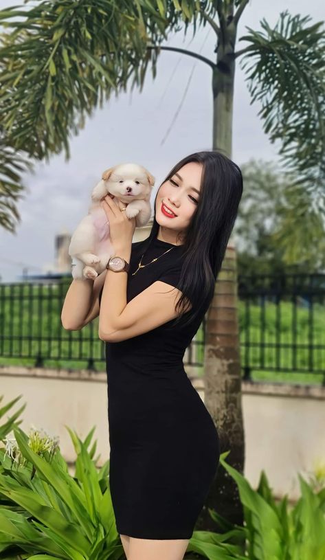 小母牛电影